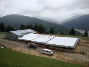 10868218_741901282557804_5861264285111752128_n